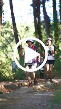 BIB:  <button type="button" onclick="openModal(26788088)" class="btn btn-primary btn-sm float-right" data-toggle="modal" data-target=".modal-high-quality">
                <i class="fa fa-download"></i> Download
                </button>